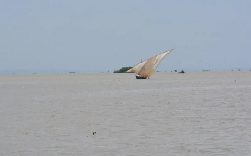 dsc_0301.jpg